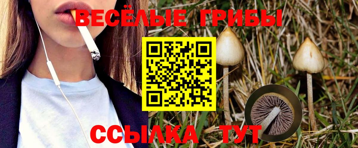 Галлюциногенные грибы мицелий Алейск