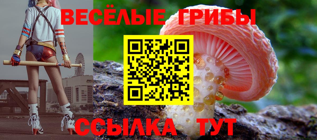 Галлюциногенные грибы Magic Shrooms  Псилоцибиновые грибы MAGIC MUSHROOMS  Вход с VPN  Алейск 